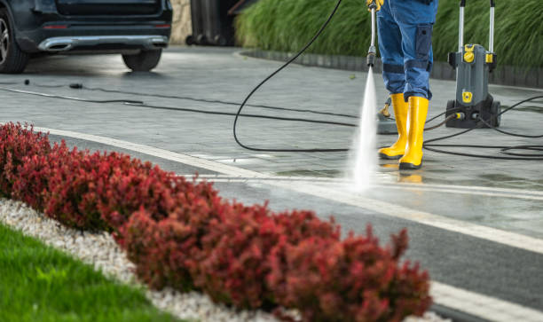 Best Pressure Washing Patio  in Lexington, NC